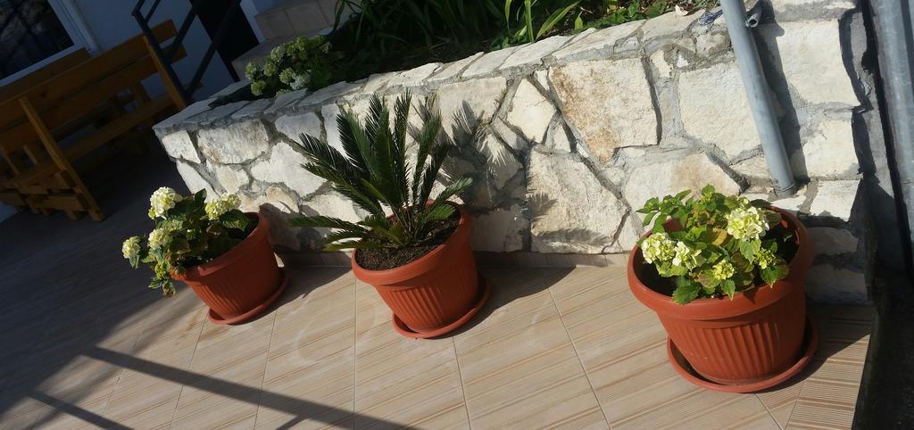 Apartments Popovic Ulcinj Esterno foto